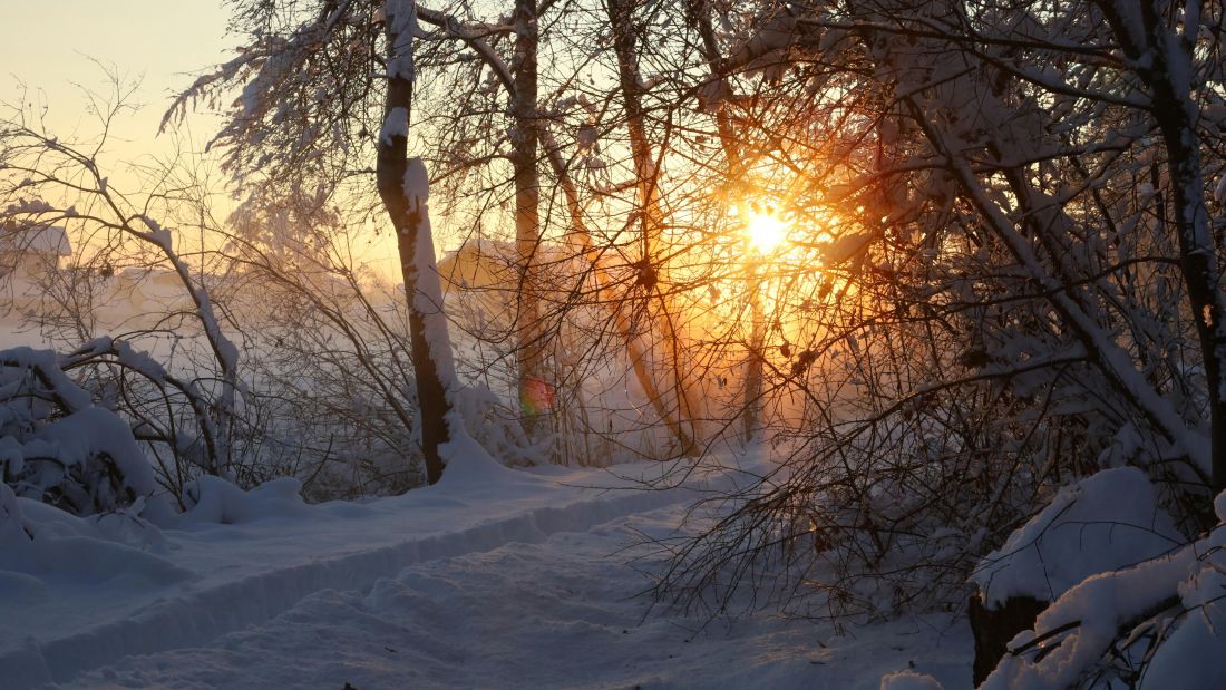 Daylight Exposure Serotonin Boost Winter Depression Sad Mental Health