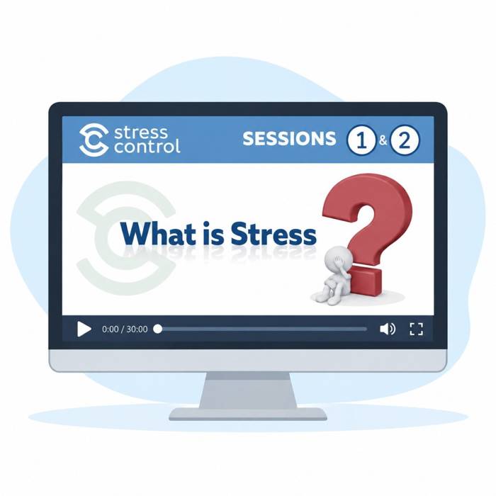 Online Stress Management Video Course