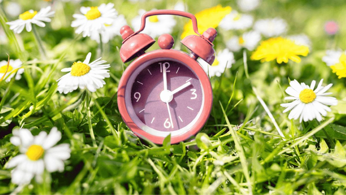 Stress Control Lighter Nights Mental Health